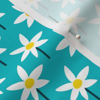 little white starry flowers on teal 