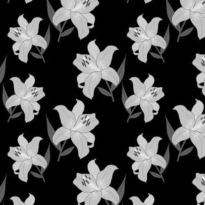 Asiatic Christmas Lily - greyscale on black, medium 