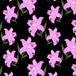 Asiatic Christmas Lily (orchid pink) - black, medium 