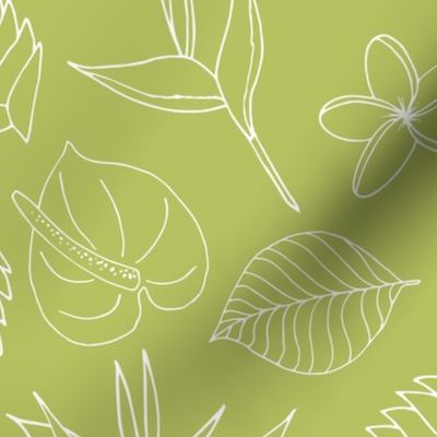 Tropical Floral Line Art - Avocado Green