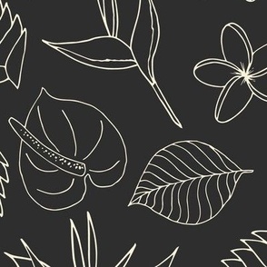 Tropical Floral Line Art - Black and White