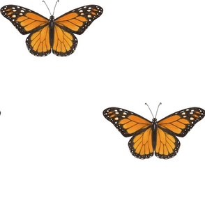 Monarch Butterfly simple repeat on white - jumbo scale