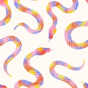 Clouded Rainbow Snakes