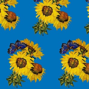 108b. MEDIUM Blue Butterfly & Sunflowers on French Blue 