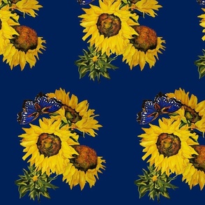 109b.  MEDIUM  Blue Butterfly & Sunflowers on Navy 