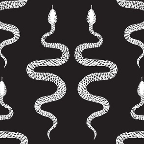 Hand Drawn Snakes in Black