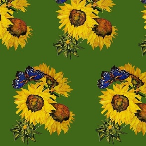 110b. MEDIUM Blue Butterfly & Sunflowers on Dark Green