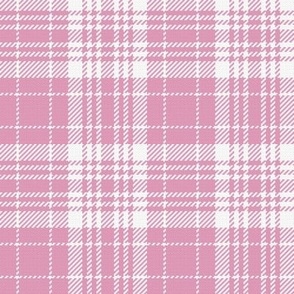 Preppy Chic Tartan No3