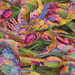 Watercolor Florida Rainbow Snakes