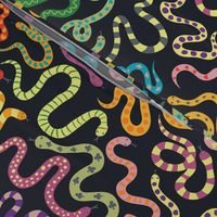 Snazzy Snakes - brights on black - large scale