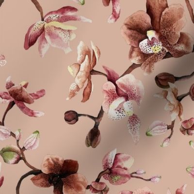 orchidtree_beige