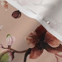 orchidtree_beige