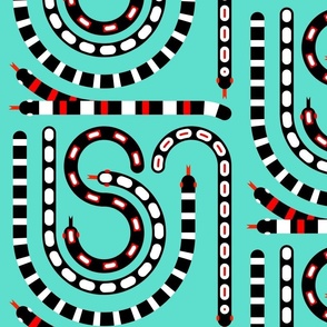 Super Striped Snaky Snake on Turquoise