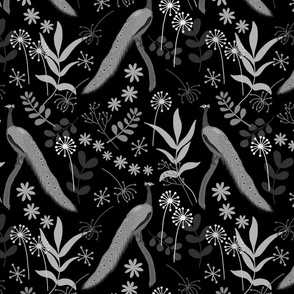 Peacock Jubilee - greyscale on black, medium 