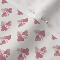 French Clover Pink