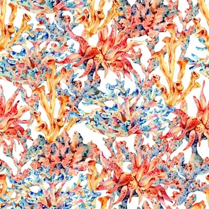 Colorful watercolor coral on white