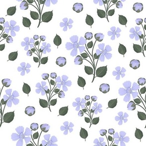 blackberry-flowers-pattern