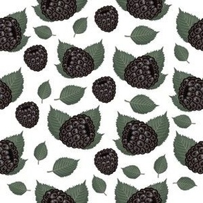 blackberry-pattern4