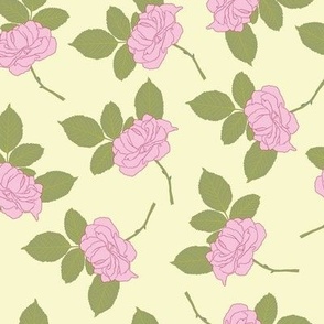 scattered pink roses on cream