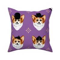 corgis with hats - orchid, dog hats, small dogs, vets, pet shop