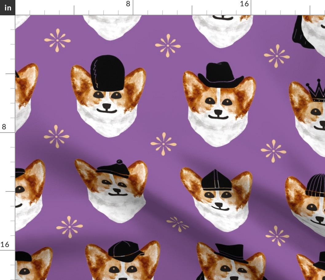 corgis with hats - orchid, dog hats, small dogs, vets, pet shop