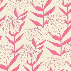 Pink Outlines Echinacea