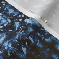 Cyanotype Nature Printing #1