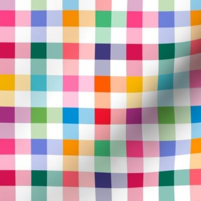 Gingham Check Rainbow small