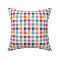 Gingham Check Rainbow small