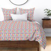 Gingham Check Rainbow small