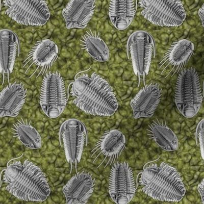 trilobites_green