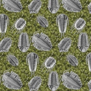 trilobites_green