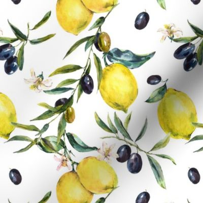 Summer watercolor lemons and olives on white