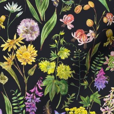 Watercolor herbal and wildflowers on black