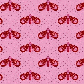 Moths - pink