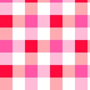 Gingham Check Cherry large