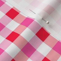 Gingham Check Cherry small