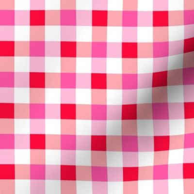 Gingham Check Cherry small
