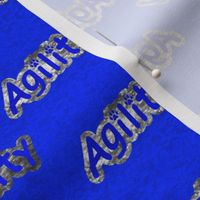 Small Bold Agility text - blue