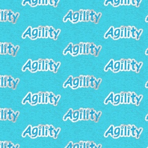 Bold Agility text - aqua