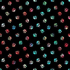 Summer tie dye Trotting paw prints on black