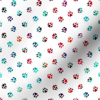 Summer tie dye Trotting paw prints on white
