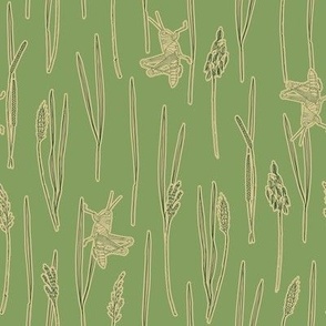 Sage green grass and grasshopper seamless background