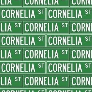 Cornelia Street   Lover Musician Music Song Songwriter Singer Concert Tour   Country Pop Shake It Off
