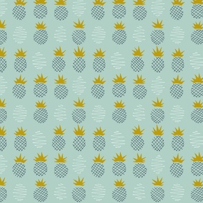 Pineapple country // medium scale