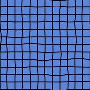 Whimsical Black Grid Lines on a cornflower blue background