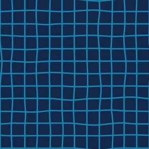 Whimsical Medium Blue Grid Lines on a navy blue background
