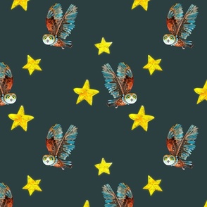 Flying owl and stars 
