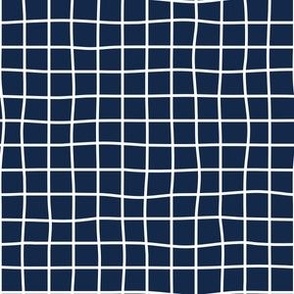 Whimsical White (unprinted) Grid Lines on a navy blue background