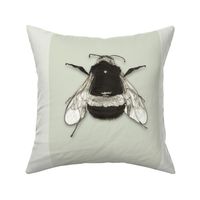 Bumble Bee Stripe Light Green Grey